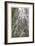 Proxy Falls III-Donald Paulson-Framed Giclee Print