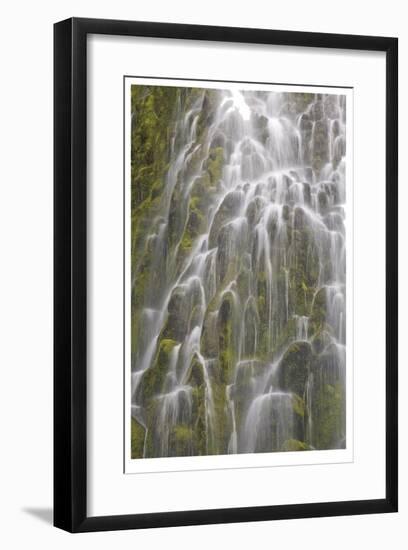 Proxy Falls III-Donald Paulson-Framed Giclee Print