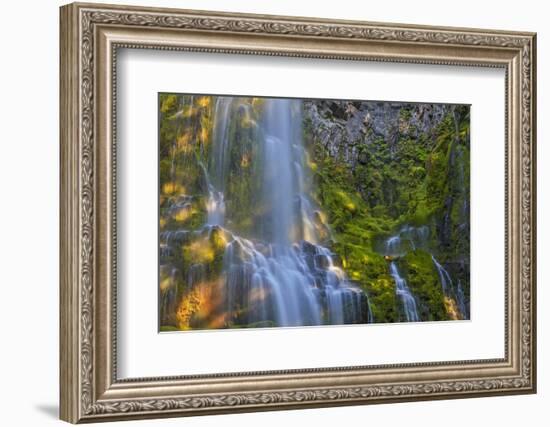 Proxy Falls in the Three Sisters Wilderness, Oregon, Usa-Chuck Haney-Framed Photographic Print