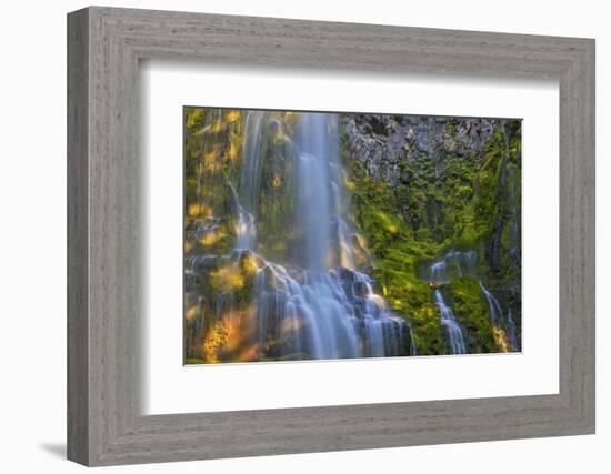 Proxy Falls in the Three Sisters Wilderness, Oregon, Usa-Chuck Haney-Framed Photographic Print