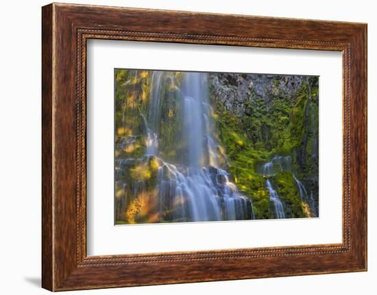 Proxy Falls in the Three Sisters Wilderness, Oregon, Usa-Chuck Haney-Framed Photographic Print