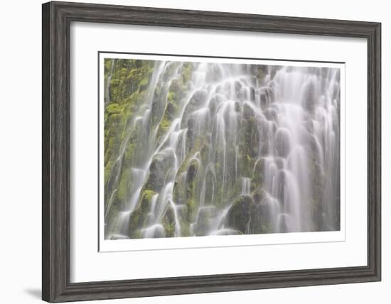 Proxy Falls IV-Donald Paulson-Framed Giclee Print