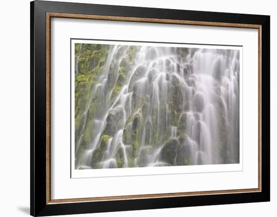 Proxy Falls IV-Donald Paulson-Framed Giclee Print