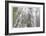 Proxy Falls IV-Donald Paulson-Framed Giclee Print