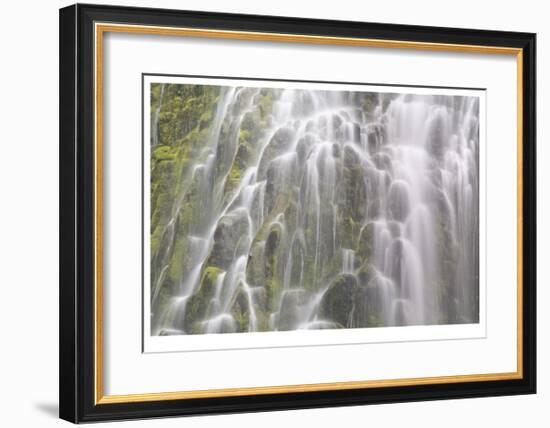 Proxy Falls IV-Donald Paulson-Framed Giclee Print