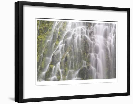 Proxy Falls IV-Donald Paulson-Framed Giclee Print