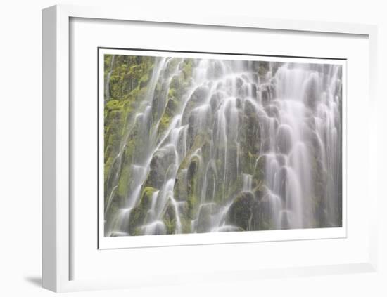 Proxy Falls IV-Donald Paulson-Framed Giclee Print