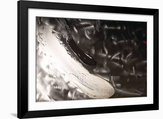 ProZperity-Pamela Nielsen-Framed Giclee Print