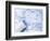 Prtints-davinci-Framed Photographic Print