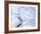 Prtints-davinci-Framed Photographic Print