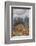 Prudent Man Agate, Origin Idaho-Darrell Gulin-Framed Premium Photographic Print