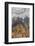 Prudent Man Agate, Origin Idaho-Darrell Gulin-Framed Premium Photographic Print