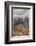 Prudent Man Agate, Origin Idaho-Darrell Gulin-Framed Photographic Print