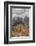 Prudent Man Agate, Origin Idaho-Darrell Gulin-Framed Photographic Print