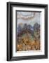 Prudent Man Agate, Origin Idaho-Darrell Gulin-Framed Photographic Print