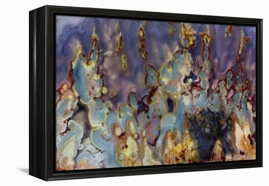 Prudent Man Agate, Origin Idaho-Darrell Gulin-Framed Premier Image Canvas