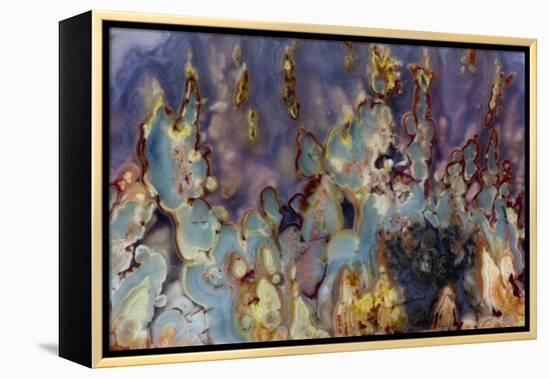 Prudent Man Agate, Origin Idaho-Darrell Gulin-Framed Premier Image Canvas