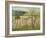 Prune Orchard, Los Gatos, California-Theodore Wores-Framed Giclee Print