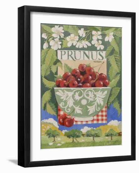 Prunus avium-Jennifer Abbott-Framed Giclee Print