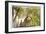 Pryamids 2, Guatemala-Theo Westenberger-Framed Photographic Print