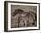 Przewalski's Horses in Kalamaili National Park, Xinjiang Province, North-West China, September 2006-George Chan-Framed Photographic Print