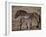 Przewalski's Horses in Kalamaili National Park, Xinjiang Province, North-West China, September 2006-George Chan-Framed Photographic Print