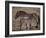 Przewalski's Horses in Kalamaili National Park, Xinjiang Province, North-West China, September 2006-George Chan-Framed Photographic Print