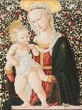 Madonna of the Roses, C.1485-90-Pseudo Pier Francesco Fiorentino-Mounted Giclee Print