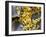 Pseudomonas Aeruginosa Bacteria, SEM-Steve Gschmeissner-Framed Photographic Print