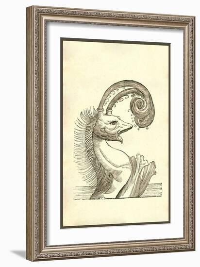 Pseudophyseter-Ulisse Aldrovandi-Framed Art Print