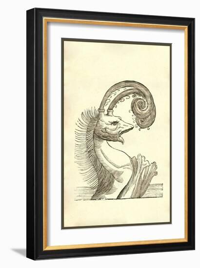 Pseudophyseter-Ulisse Aldrovandi-Framed Art Print