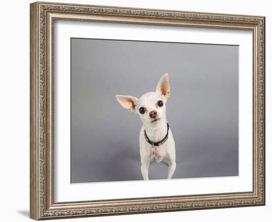 Psssst...-Susan Sabo-Framed Photographic Print