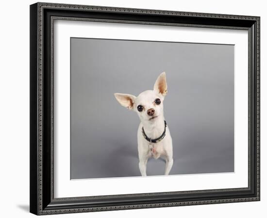 Psssst...-Susan Sabo-Framed Photographic Print