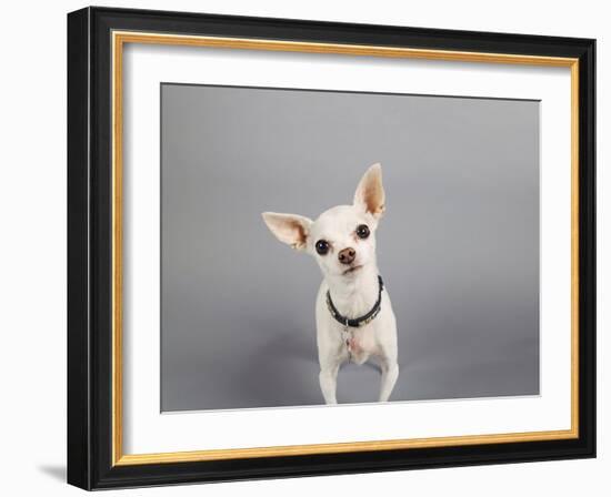 Psssst...-Susan Sabo-Framed Photographic Print