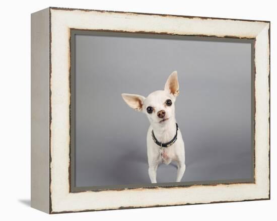 Psssst...-Susan Sabo-Framed Premier Image Canvas