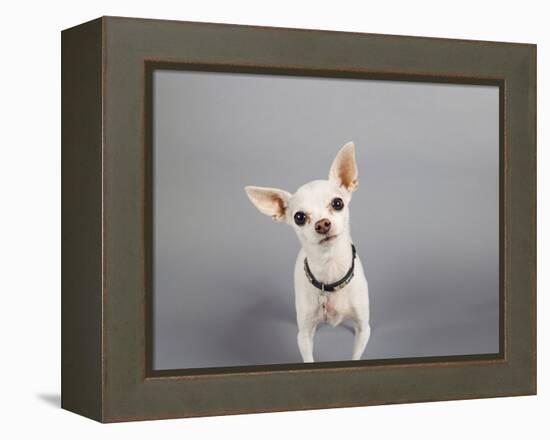 Psssst...-Susan Sabo-Framed Premier Image Canvas