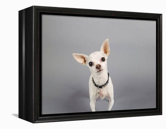 Psssst...-Susan Sabo-Framed Premier Image Canvas