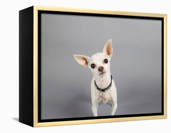 Psssst...-Susan Sabo-Framed Premier Image Canvas