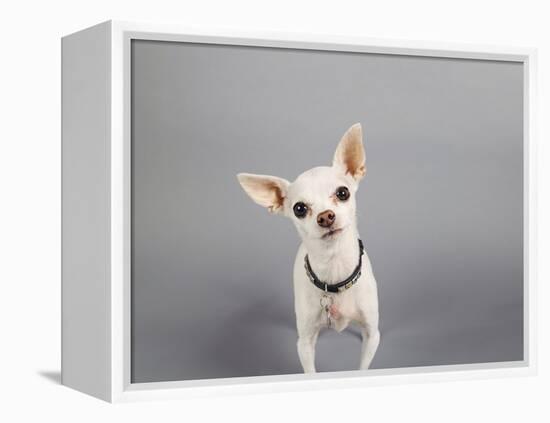 Psssst...-Susan Sabo-Framed Premier Image Canvas