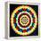 Psychedelic Mandala, 1969-Larry Smart-Framed Premier Image Canvas