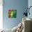 Psychedelic Pear-Mindy Sommers-Mounted Giclee Print displayed on a wall