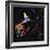 Psychedelic Twilight-Tina Lavoie-Framed Giclee Print