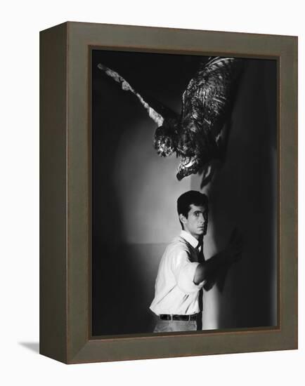 PSYCHO, 1960 directed by ALFRED HITCHCOCK Anthony Perkins (b/w photo)-null-Framed Stretched Canvas