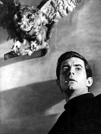 Psycho Anthony Perkins 1960 Photo by Art com Psycho Anthony Perkins 1960 Photo by Art com
