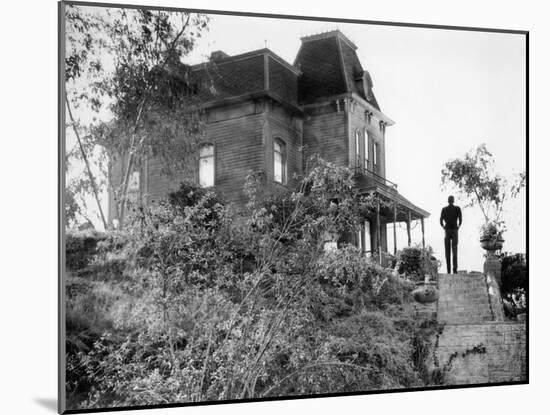 Photo, , large