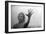 Psycho, Janet Leigh, 1960-null-Framed Premium Photographic Print