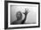 Psycho, Janet Leigh, 1960-null-Framed Premium Photographic Print