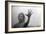 Psycho, Janet Leigh, 1960-null-Framed Premium Photographic Print