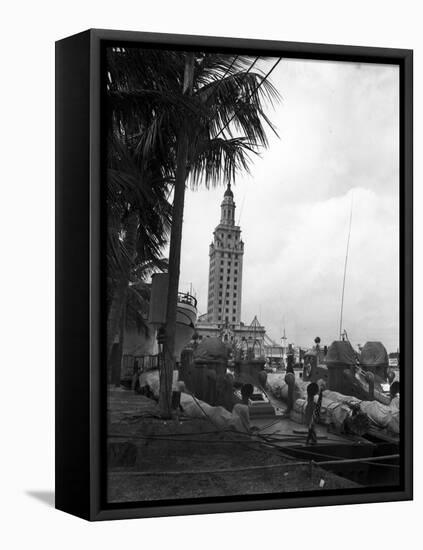 Pt Boats Docked at the Port of Miami-null-Framed Premier Image Canvas