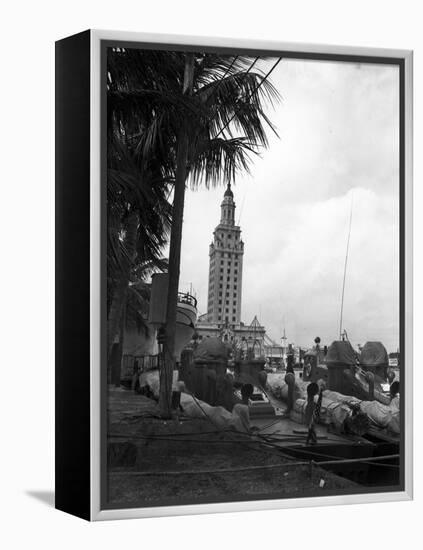 Pt Boats Docked at the Port of Miami-null-Framed Premier Image Canvas